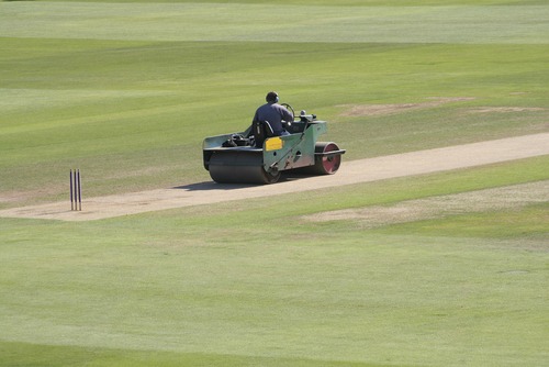 groundsman rolling the cricket square