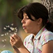 girl blowing a dandelion clock