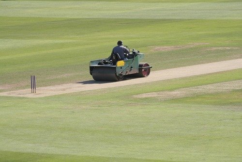 groundsman rolling the cricket square